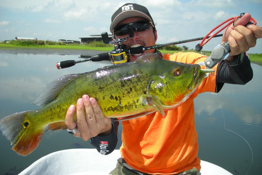 7 Hardest Fighting Freshwater Fish Can You Handle Them? • Fishing Duo