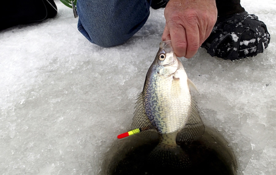 Slip Bobber For Ice Fishing A Killer Tactic You Need To Try • Fishing Duo